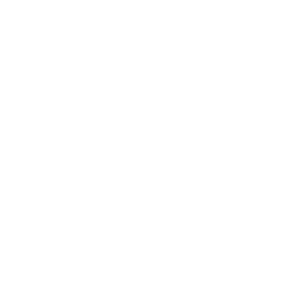 Yesterland